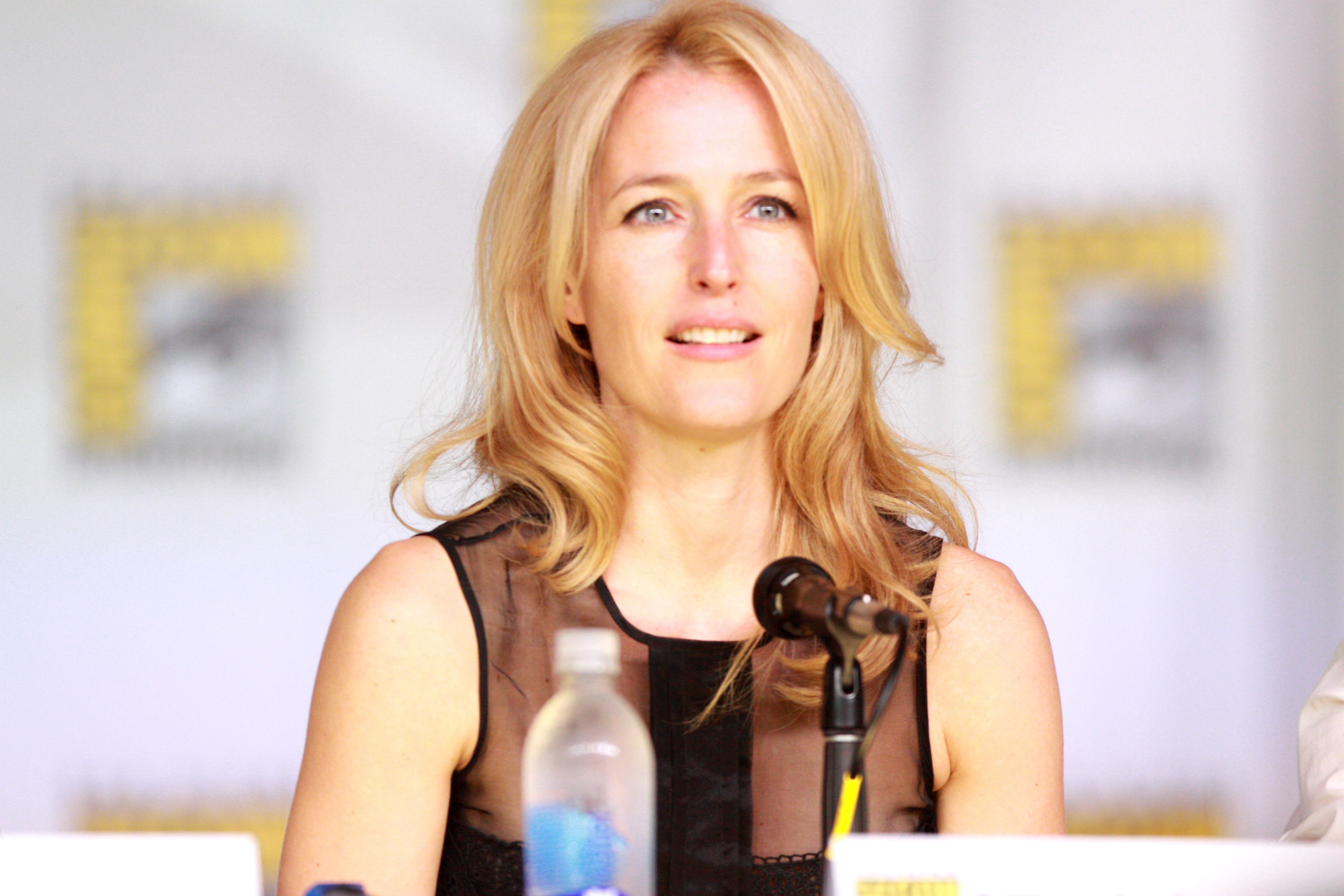 Gillian Anderson 379